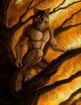 anthro autumn crouching male plant solo tail tree kippycube mythology lazywolf canid canine canis mammal mythological_canine mythological_creature werecanid werecanine werecreature werewolf wolf warm_colors