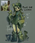 antennae_(anatomy) clothing dress female fungus green_body green_hair green_skin hair lichen monster_girl_(genre) not_furry solo tongue tongue_out feefal elemental_creature elemental_humanoid fungi_fauna fungi_humanoid humanoid lichen_humanoid green_theme hi_res