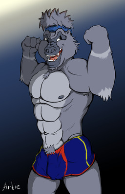 anthro balls_outline bottomwear bulge clothed clothing detailed_bulge fur genital_outline male muscular muscular_anthro nipples pecs penis_outline pose shorts solo underwear wide_hips artietheartbull ape gorilla haplorhine mammal monkey primate absurd_res digital_media_(artwork) hi_res