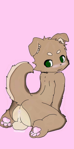 anthro anus balls blush bodily_fluids butt cum cum_in_ass cum_inside cum_on_feet feet fur genital_fluids genitals green_eyes male multicolored_body multicolored_fur pawpads pink_pawpads presenting presenting_anus presenting_hindquarters solo young young_anthro juicy_bug canid canine canis domestic_dog mammal 6:13 hi_res