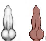 animal_genitalia animal_penis canine_genitalia canine_penis disembodied_penis duo erection genitals knot male penis simple_background tan_penis white_background white_penis sparklepaws canid canine mammal digital_media_(artwork) greyscale monochrome