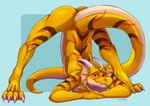 anthro ass_up blue_background blush butt jack-o'_pose male nude pose simple_background solo tail ifus european_mythology mythology goldy_(golden.dragon) dragon mythological_creature mythological_scalie scalie western_dragon 2021 absurd_res digital_media_(artwork) hi_res