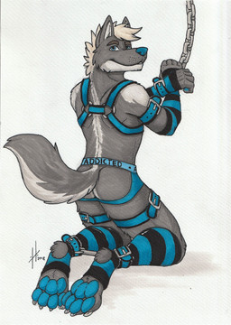 4_toes anthro armwear barefoot bdsm blue_eyes blue_harness blue_nose blue_pawpads bondage bound butt chain chained claws clothing cuff_(restraint) facial_tuft feet fur grey_body grey_fur grey_tail hair harness jockstrap kneeling leather leather_cuffs legwear looking_at_viewer male male_anthro o-ring pattern_armwear pattern_clothing pattern_legwear pawpads restraints simple_background slim_anthro slim_male soles solo spreader_bar striped_armwear striped_clothing striped_legwear stripes submissive submissive_male tail tan_hair toe_claws toes tuft underwear white_background white_body white_claws white_fur white_tail hufnaar canid canine mammal hi_res