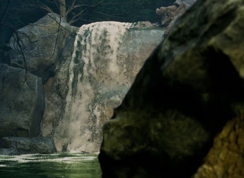 2_toes 4_toes animal_genitalia animal_penis anus armor armwear biped bipedal_feral bodily_fluids butt claws cloth clothed clothed_feral clothing cum cum_in_mouth cum_in_own_mouth cum_in_self cum_inside cum_on_face cum_on_own_face cum_on_own_penis cum_on_partner cum_on_penis cum_on_self cumshot day detailed_background dewclaw duo ejaculation elbow_gloves erection feathers feet female female_feral feral feral_on_feral fingerless_gloves foot_fetish foot_focus foot_play footjob footwear forest forest_background genital_fluids genital_slit genitals gloves green_body green_scales grey_body grey_scales handwear humanoid_genitalia humanoid_genitalia_on_feral humanoid_vulva humanoid_vulva_on_feral interspecies leaking_cum lying male male/female nature nature_background nude orgasm paws penis pink_body pink_feathers pink_scales plant pupils river rock scales sex slit_pupils soles sound_effects spiked_penis spikes spikes_(anatomy) striped_body stripes tail tail_anus tailbutt teeth text thick_tail toe_claws toeless_footwear toes tongue tree vulva waterfall wind wood raptie_(artist) raptie_(modeler) blender_cycles capcom monster_hunter mythology raptie_(utahraptie) dinosaur dromaeosaurid fanged_wyvern mythological_creature mythological_scalie prehistoric_species reptile saurischian scalie theropod tobi-kadachi utahraptor 2025 3d_(artwork) 3d_animation animated blender_(artwork) digital_media_(artwork) hi_res huge_filesize long_playtime sound url webm