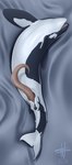 animal_genitalia animal_penis black_body blue_eyes cetacean_genitalia cetacean_penis erection feral genital_slit genitals herm intersex multicolored_body open_mouth penis pussy sea shadow solo tapering_penis two_tone_body water white_body year wesphin marmire cetacean dolphin fish hybrid mammal marine oceanic_dolphin orca shark toothed_whale 2024 absurd_res hi_res