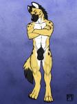 abs animal_genitalia anthro balls biceps biped black_nose crossed_arms digitigrade fully_sheathed fur genitals male muscular muscular_anthro muscular_male nude pecs sheath simple_background solo spots standing tsaiwolf jumbe hyena mammal spotted_hyena 2013 3:4 hi_res