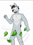 anthro athletic black_hair convenient_censorship countershade_face countershade_torso countershading fur hair leaf leaf_censor male nude open_mouth pose pubes shocked simple_background solo white_background white_body white_fur wind fuze duke_(fuze) canid canine canis coyote hybrid mammal wolf