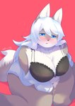 anthro big_breasts black_bra black_clothing black_underwear blush bra breasts chest_tuft cleavage clothed clothing female female_anthro fur hair iridescent iridescent_hair kemono lace lace_bra looking_at_viewer open_clothing solo tuft underwear ukenya canid canine canis mammal wolf absurd_res hi_res