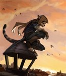 ambiguous_gender anthro clothed clothing detailed_background france on_roof outside paris solo young young_anthro hax_(artist) kenket lofi assassin's_creed ubisoft domestic_cat felid feline felis mammal 2015