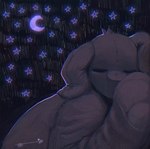 ambiguous_gender anthro black_background eyes_closed lying moon mouthless night noseless paws plushie purple_background seam_(sewing) simple_background sleeping solo star blushing_yokai animate_inanimate canid canine canis domestic_dog living_plushie mammal nonbinary_(lore)