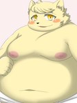 anthro belly blush clothed clothing fur looking_at_viewer male moobs muscular muscular_male navel nipples overweight overweight_male solo topless yellow_body yellow_eyes yellow_fur young young_anthro kemoduelist cyberconnect2 fuga:_melodies_of_steel little_tail_bronx boron_brioche domestic_cat felid feline felineko felis mammal 3:4 hi_res