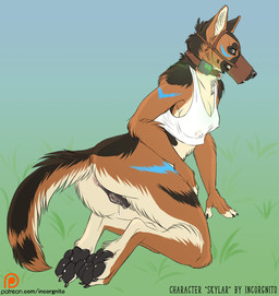 animal_genitalia animal_vulva anthro anus biped black_nose black_pawpads bodily_fluids bottomless canine_genitalia canine_vulva claws clothed clothing collar digitigrade feet female genital_fluids genitals hindpaw inner_ear_fluff kneeling muzzle_(object) muzzled nipple_outline pawpads paws shirt shock_collar solo tank_top teeth text toe_claws topwear tuft vaginal_fluids vulva incorgnito skylar_(incorgnito) canid canine canis domestic_dog german_shepherd herding_dog mammal pastoral_dog hi_res url