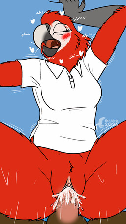 anthro bodily_fluids bottomless bottomless_female clothed clothing collared_shirt cum cum_in_vagina cum_inside duo female female_penetrated first_person_view from_front_position genital_fluids genitals lying male male/female male_penetrating male_penetrating_female male_pov missionary_position on_back penetration penile penile_penetration penis_in_vagina polo_shirt sex shirt topwear vaginal vaginal_penetration vulva fish_birb samantha_(fish_birb) ara_(genus) avian bird macaw neotropical_parrot parrot scarlet_macaw true_parrot 9:16 absurd_res hi_res trans_(lore)