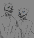 anthro ball_gag blue_eyes chest_tuft collar duo gag green_eyes looking_at_viewer male muscular muscular_male nipples slave tuft whiskers skully torin_otter mammal mustelid otter half-length_portrait hi_res portrait sketch story story_in_description