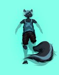 big_tail markings striped_markings striped_tail stripes tail tail_markings conditional_dnp cupsofjade mammal mephitid skunk