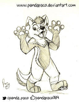 anthro featureless_crotch front_view glistening glistening_nose hair logo looking_at_viewer male male_anthro nude open_mouth pawpads short_hair solo standing tail teeth text tongue pandapaco canid canine mammal 2017 artist_logo monochrome signature sketch url
