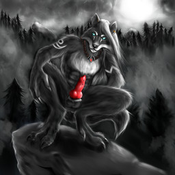animal_genitalia animal_penis anthro blue_eyes canine_genitalia canine_penis crouching dark dolphin_piercing ear_piercing fur genital_piercing genitals hunting jewelry looking_at_viewer male necklace penis penis_piercing piercing solo rakardia canid canine canis mammal wolf 1:1 hi_res