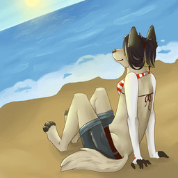 anthro beach clothing detailed_background female outside sand sea seaside sky solo sun swimwear tail water wave catfarts jordhan canid canine mammal 1:1