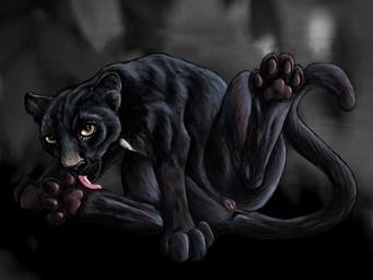 anus black_body black_fur dark female feral fur genitals licking looking_at_viewer melanistic pawpads paws solo spread_legs spreading tail tongue tongue_out vulva spera felid mammal pantherine 2010 4:3 wallpaper