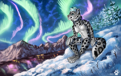 4_fingers 4_toes anthro aurora_(phenomenon) biped black_spots blue_eyes blue_hair breasts countershade_torso countershading detailed_background digitigrade feet female fingers fur grey_body grey_fur hair ice lake looking_up markings mountain multicolored_hair night nude on_ground outside reflection sitting sky snow solo spots spotted_body spotted_fur star starry_sky toes two_tone_hair white_hair year flashw felid mammal pantherine snow_leopard 2021 dated digital_media_(artwork) digital_painting_(artwork) painting_(artwork) shaded signature