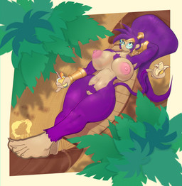 anthro armwear banana beverage big_breasts breasts chest_tuft clothing container cup ear_piercing ear_ring eyewear female food fruit fur fur_tuft genitals hair hammock long_ponytail lounging nipples nude nude_anthro nude_female palm_tree piercing plant ponytail pubes purple_body purple_fur ring_piercing sand solo sunglasses thick_thighs tree tuft vulva kaliburr_advanced shantae_(series) wayforward shantae shantae_(monkey_form) haplorhine mammal monkey primate hi_res