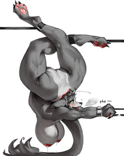 anthro backbend big_breasts bodily_fluids breasts contortionism extreme_contortion feet female flexible fur green_eyes grey_body grey_fur lactating milk nipples paws solo splits spread_legs spreading sweat tail thick_thighs wide_hips gyy canid canine mammal 4:5
