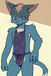 anthro arm_tuft asian_clothing blue_body blue_fur chinese_clothing clothing dudou east_asian_clothing fur fur_tuft kemono male shoulder_tuft solo tail tuft whiskers dark_ishihara aoniya_yuudai domestic_cat felid feline felis mammal hi_res