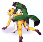 4_toes all_fours anthro anthro_on_anthro belly blonde_hair breasts butt claws doggystyle duo erection feet female female_penetrated fluffy fluffy_tail from_behind_position fur genitals green_body green_fur hair hindpaw male male/female male_penetrating male_penetrating_female markings nude paws penetration penile penile_penetration penis penis_in_pussy pussy sex simple_background soles tail toes vaginal vaginal_penetration white_belly yellow_body yellow_fur ookami-kun canid canine fox mammal