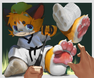 4_fingers 4_toes 5_fingers anthro bandage bandage_on_face bandage_on_nose baseball_cap bdsm belt black_belt black_leash black_nose blue_eyes bodily_fluids border bottomwear brown_body brown_ears brown_eyebrows brown_fur cheek_tuft chest_tuft circle_eyebrows claws close-up clothed clothing dipstick_ears dirty dirty_clothing dirty_feet dirty_socks disembodied_hand duo ear_markings eye_scar eyebrows facial_scar facial_tuft feet fingers first_person_view foot_fetish foot_focus foot_play footprint footwear forced fox_ears fox_tail fur glistening glistening_feet grass grass_field green_background green_clothing green_hat green_headwear grin grinning_at_viewer hat head_tuft headgear headwear holding_leash holding_object keikogi leash leash_pull leashed_pov leashed_viewer legwear looking_at_viewer male markings martial_arts_uniform multicolored_ears offscreen_character offscreen_human offscreen_male one_sock one_sock_on orange_body orange_fur pawpads pawprint pawprint_(marking) paws petplay pink_pawpads plant red_inner_ear role_reversal roleplay scar simple_background smile smiling_at_viewer smug smug_face smug_grin sock_fetish socks sportswear submissive submissive_pov sweat sweatdrop sweaty_clothing sweaty_feet sweaty_footwear sweaty_socks toe_claws toes topwear tuft white_body white_border white_bottomwear white_clothing white_footwear white_fur white_legwear white_socks white_topwear young young_anthro young_male wasi canid canine canis domestic_dog fox human mammal hi_res