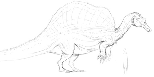 ambiguous_gender claws comparing duo feral long_claws sail simple_background tail white_background unknown_artist the_isle allosaurid allosauroid dinosaur prehistoric_species reptile saurischian scalie spinosaurid spinosaurus theropod monochrome