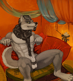 abs animal_genitalia anthro balls black_hair facial_hair fully_sheathed fur genitals goatee grey_body grey_fur grey_hair hair inside looking_at_viewer male male_anthro muscular muscular_anthro muscular_male neck_tuft nude nude_anthro nude_male pecs pillow pubes sheath sitting solo spread_legs spreading tail teeth tuft yellow_eyes i-psilone arch_noven canid canine canis mammal wolf 2015
