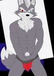 abs anthro clothing fur jockstrap looking_at_viewer male muscular muscular_anthro muscular_male pubes red_clothing red_jockstrap red_undergarments red_underwear solo underwear vdrebi nintendo star_fox wolf_o'donnell canid canine canis mammal wolf absurd_res alpha_channel hi_res