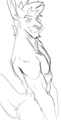 anthro chin_tuft closed_smile facial_tuft hair male male_anthro mouth_closed nude short_hair side_view simple_background smile solo tuft solaxe_(artist) solaxe kangaroo macropod mammal marsupial hi_res monochrome portrait sketch three-quarter_portrait