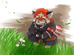 anthro biped bottomwear camera clothing flower humanoid_hands kemono pants plant red_body shirt sitting solo topwear young young_anthro dis_oshiruko lifewonders tokyo_afterschool_summoners zhurong_(tas) ailurid mammal red_panda 2022 4:3 hi_res