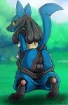 2018 anthro anus backsack balls black_anus black_balls black_perineum blush bottomwear bottomwear_down butt canid canine clothed clothing dark_nek0gami erection generation_4_pokemon genitals grass grin hi_res looking_at_viewer looking_back lucario male mammal nintendo pants pants_down partially_clothed penis perineum plant pokemon pokemon_(species) presenting presenting_hindquarters pseudo_clothing pseudo_clothing_down raised_tail red_eyes smile solo tail undressing