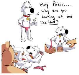 anal anal_penetration animal_genitalia animal_penis balls canine_genitalia canine_penis duo erection forced genitals humanoid_genitalia humanoid_penis male male/male penetration penis sheath text badbadlamb family_guy brian_griffin peter_griffin canid canine canis domestic_dog human mammal absurd_res english_text hi_res
