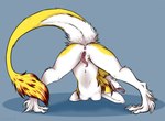 anthro anus ass_up breasts butt clitoral_hood female fur genitals hair jack-o'_pose looking_back nude pose prehensile_clitoral_hood presenting presenting_hindquarters presenting_pussy pussy raised_tail solo spread_legs spreading tail tongue tongue_out white_body white_fur vivien13 sabrinamero_(character) mammal sergal 2021