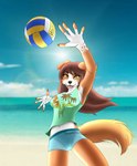 anthro ball beach beach_ball brown_hair clothed clothing curvy_figure detailed_background female fur hair inflatable jumping long_hair midriff navel outside pose sand sea seaside shirt short sky smile solo sport sunny swimwear topwear volleyball water lucareelo clear border_collie canid canine canis collie domestic_dog herding_dog mammal pastoral_dog sheepdog absurd_res hi_res shaded soft_shading