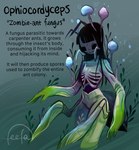 4_arms bangs black_hair blunt_bangs female fungus gradient_arms hair long_hair multi_arm multi_limb rib_cage solo spores feefal animal_humanoid ant_humanoid arthropod arthropod_humanoid cordyceps elemental_creature elemental_humanoid fungi_fauna fungi_humanoid humanoid hymenopteran hymenopteran_humanoid insect insect_humanoid undead zombie hi_res