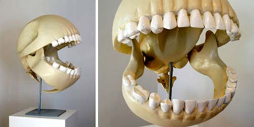 bone gaping_mouth male mouth_shot open_mouth real skeleton skull teeth zero_pictured le_gentil_garcon bandai_namco pac-man_(series) pac-man sphere_creature grandfathered_content