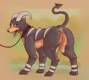 all_fours anus black_body black_fur black_nose blush brown_body brown_countershading butt claws collar countershade_butt countershading female feral fur genitals horn humanoid_genitalia humanoid_vulva inviting leash presenting presenting_hindquarters presenting_vulva raised_tail rear_view red_eyes solo tail thin_tail tongue tongue_out vulva lotus55 nintendo pokemon generation_2_pokemon houndoom pokemon_(species)