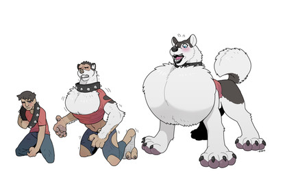 ambiguous_gender base_one_layout basic_sequence big_breasts blush bodily_fluids bottomwear breasts busty_feral chest_tuft clothed clothing collar embarrassed feral fur gender_transformation growth hair huge_breasts kneeling linear_sequence lips looking_at_viewer male mtg_transformation mti_transformation one_row_layout open_mouth pants pawpads paws shirt simple_background solo species_transformation spiked_collar spikes standing surprised sweat sweatdrop thick_bottom_lip three_frame_image three_frame_sequence tongue topwear torn_clothing transformation transformation_sequence tuft white_background white_body white_fur blackshirtboy canid canine canis domestic_dog human husky mammal nordic_sled_dog spitz 2016 absurd_res digital_media_(artwork) hi_res sequence