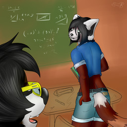 algebra anthro back_groove belt book bottomwear butt chalkboard class classroom clothed clothing desk duo eyewear female fur furgonomics furniture glasses information_board inside looking_back male markings math rear_view red_body red_fur ring_(marking) ringed_tail school shorts skimpy standing striped_markings striped_tail stripes table tail tail_clothing tail_markings fuzzywuff mr._coon ailurid mammal procyonid raccoon red_panda 1:1 hi_res