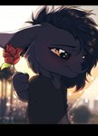 anthro big_ears black_bars black_body black_fur blush chibi ears_back flower fluffy fur hair male neck_tuft pivoted_ears plant solo tuft shyryp canid canine canis domestic_dog mammal absurd_res digital_media_(artwork) hi_res letterbox