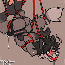 5_fingers anthro aroused_face athletic athletic_anthro athletic_male ball_gag bdsm biped black_clothing black_eyes black_hair black_jockstrap black_underwear blush bodily_fluids bondage bound bulge butt clothing drooling fingers fur gag genital_fluids grey_body grey_fur hair hanging_bondage jockstrap leaking_precum male pawpads pink_pawpads precum restraints rope rope_bondage saliva solo submissive submissive_anthro submissive_male sweat sweatdrop tail tail_tied tears tears_of_pleasure underwear nikitayarrow mavi_(nikitayarrow) canid canine canis mammal wolf 1:1 2025 hi_res