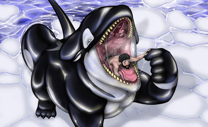 anthro beard bodily_fluids duo facial_hair feral hand_holding ice ice_floe macro male male/male male_pred male_prey micro nude open_mouth oral_vore safe_vore saliva sea swallowing teeth tongue tongue_grab vore water willing_prey sirorca mythology siro theallseeingeye aquatic cetacean dolphin dragon human hybrid mammal mythological_creature mythological_scalie oceanic_dolphin orca scalie toothed_whale hi_res
