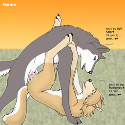 butt duo erection female female_penetrated feral feral_on_feral from_front_position genitals knot lying male male/female male_penetrating male_penetrating_female missionary_position nude on_back penetration penile penile_penetration penis penis_in_vagina sex sunset tail text vaginal vaginal_penetration vulva muraco alpha_and_omega lionsgate humphrey_(alpha_and_omega) kate_(alpha_and_omega) canid canine canis domestic_dog husky mammal nordic_sled_dog spitz wolf 1:1 english_text