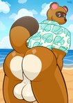 anthro backsack balls beach big_balls big_butt blue_eyes butt clothing genitals male presenting seaside slightly_chubby solo layndon animal_crossing nintendo tom_nook_(animal_crossing) canid canine mammal raccoon_dog tanuki absurd_res hi_res