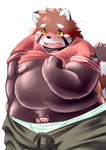 anthro balls blush bottomwear clothing flaccid genitals humanoid_genitalia humanoid_hands humanoid_penis kemono male orange_body overweight overweight_male pants penis simple_background solo underwear white_background tomoyamaru ailurid mammal red_panda 2021