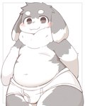 anthro blush blush_lines briefs briefs_only circle_eyebrows clothed clothing countershading dipstick_ears ear_markings eyebrows fur grey_body grey_ears grey_eyes grey_face grey_fur hands_behind_back kemono looking_at_viewer male multicolored_ears navel neck_tuft outline slightly_chubby solo thick_thighs tighty_whities topless tuft two_tone_face underwear underwear_only white_body white_briefs white_clothing white_countershading white_ears white_eyebrows white_face white_fur white_underwear shouka_2810 production_taiikukan rotta lagomorph leporid mammal rabbit 2022 digital_media_(artwork) hi_res